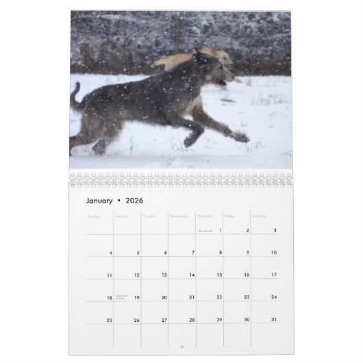Irischer Wolfhound 2012 Kalender (Jan 2026)