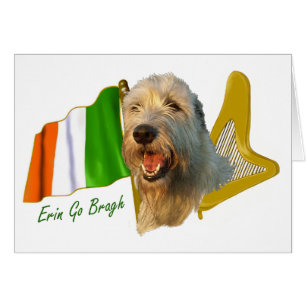 Irischer Wolfhound-irische Flagge und Harfe