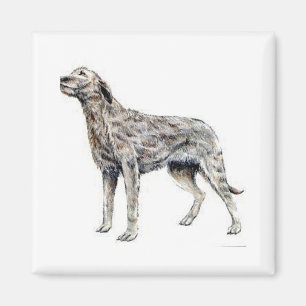 Irischer Wolfhound Magnet