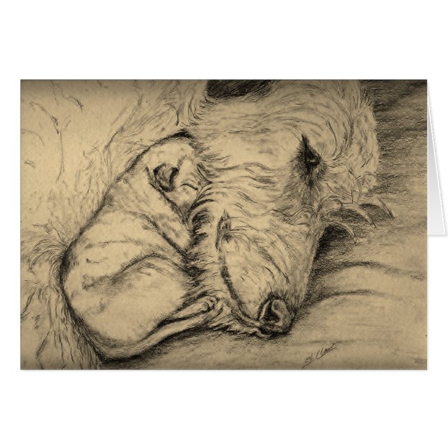 Irischer Wolfhound-Mutter und Welpe (Vorderseite (Horizontal))