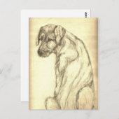 Irischer Wolfhound-Welpe, der zurück Postkarte (Vorne/Hinten)