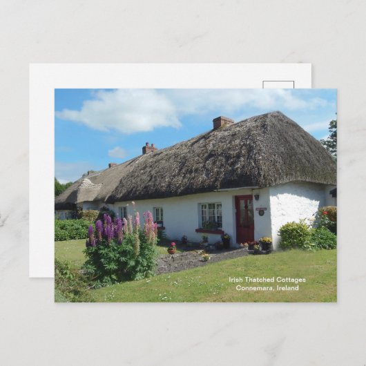 Irisches Bild für Postkarte (Vorne/Hinten)