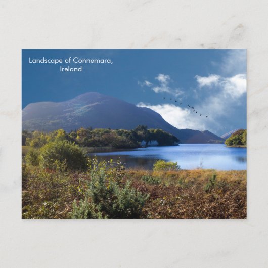 Irisches Bild für Postkarte (Vorderseite)