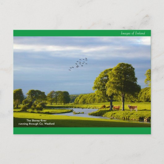 Irisches Bild für Postkarten (Vorderseite)