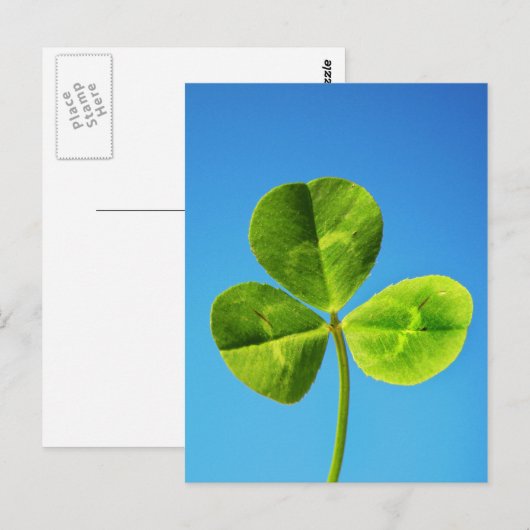 irisches Glück Postkarte (Vorne/Hinten)