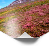 Irisches Image für NullValue-Foto-Erweiterung Fotodruck (Ecke)