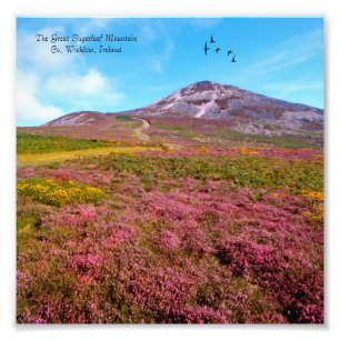 Irisches Image für NullValue-Foto-Erweiterung Fotodruck