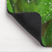 irisches Kleeblatt mit Regentropfen Mousepad (Ecke)