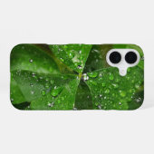 irisches Kleeblatt mit Wassertropfen iPhone 16 Hülle (Rückseite (Horizontal))