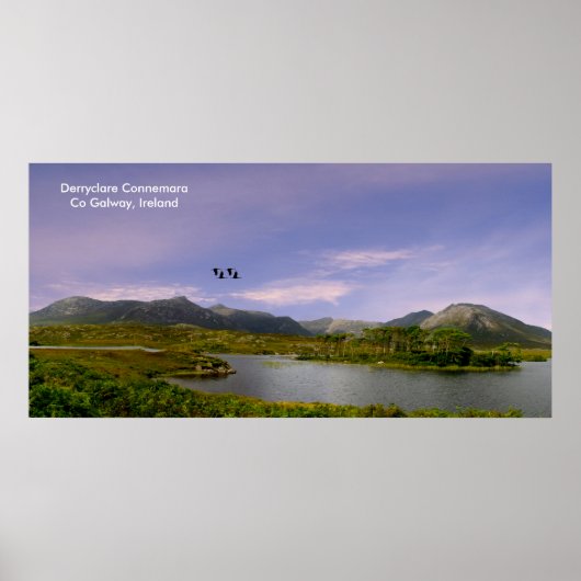 irisches Plakatbild Poster (Vorne)