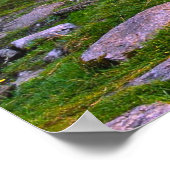 irisches Plakatbild Poster (Ecke)