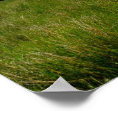 Irisches Poster (Ecke)