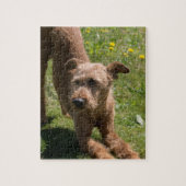 Irisches Terrier-Yoga Puzzle (Vertikal)