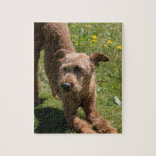 Irisches Terrier-Yoga Puzzle (Vertikal)