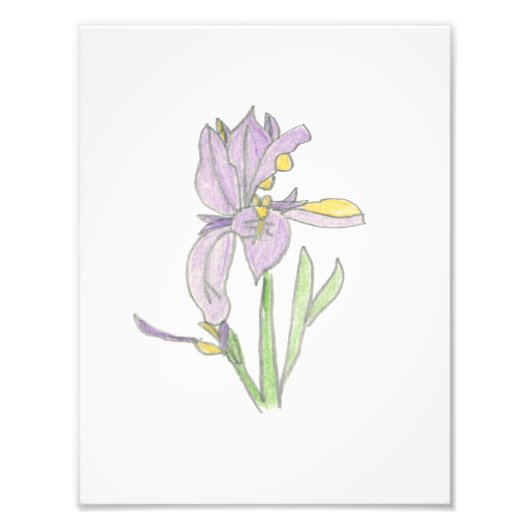 Irisdruck Fotodruck (Vorne)