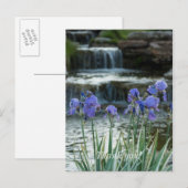 Irises bei Chateau Vielen Dank Postkarte (Vorne/Hinten)