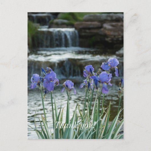 Irises bei Chateau Vielen Dank Postkarte (Vorderseite)