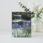 Irises bei Chateau Vielen Dank Postkarte (Stehend Vorderseite)