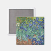 Irises Blue Green Yellow Van Gogh Magnet (Vorderseite/Rückseite)