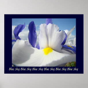 Irises Blue Sky Art Print Healing Touch Nursing Poster