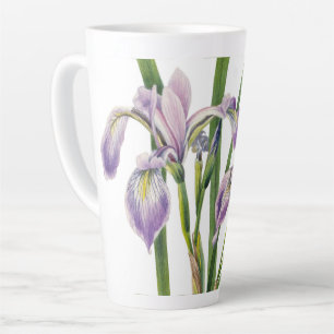 IRISES BLUME ILLUSTRATION MILCHTASSE