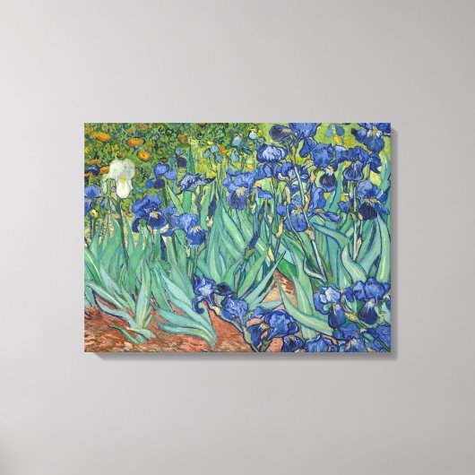 Irises by Van Gogh Wrapped Canvas Leinwanddruck (Vorderseite)