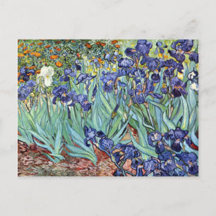 Irises by Vincent van Gogh 1898 Postkarte