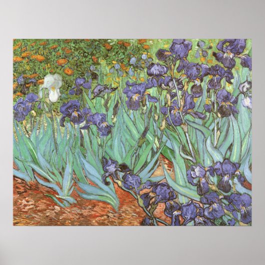 Irises by Vincent van Gogh Poster (Vorne)