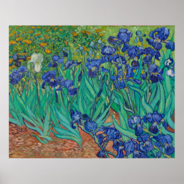 Irises by Vincent Van Gogh Poster