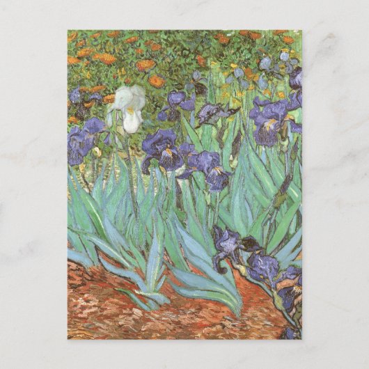 Irises by Vincent van Gogh Postkarte (Vorderseite)