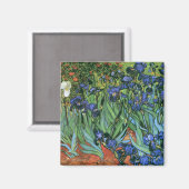 Irises (F608) Van Gogh Fine Art Magnet (Vorderseite/Rückseite)