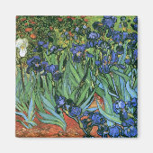 Irises (F608) Van Gogh Fine Art Magnet (Vorne)