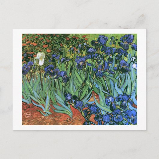 Irises (F608) Van Gogh Fine Art Postkarte (Vorderseite)