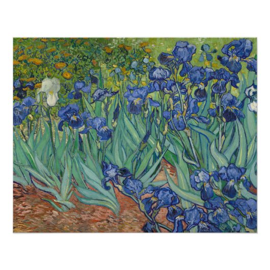 Irises, Floral Oil Painting, Vincent Van Gogh Poster (Vorderseite)