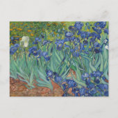 Irises, Floral Oil Painting, Vincent Van Gogh Postkarte (Vorderseite)