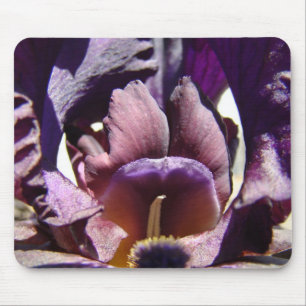 IRISES Lila Iris Blume MOUSPADS MOUSEPAD