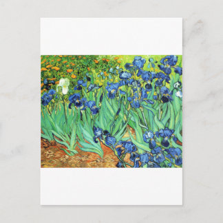 Irises ~ Monet Postkarte