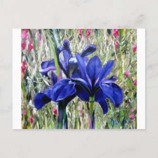 Irises oil painting postkarte