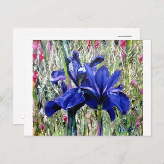 Irises oil painting postkarte (Vorne/Hinten)