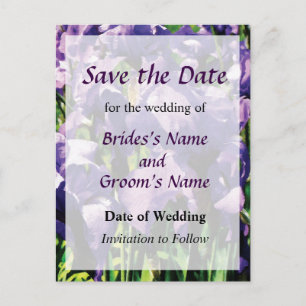Irises Princess Royal Smith Save the Date Ankündigungspostkarte