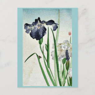 Irises Ukiyoe Postkarte