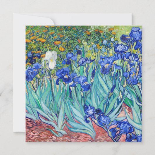 Irises Vincent van Gogh (Vorderseite)