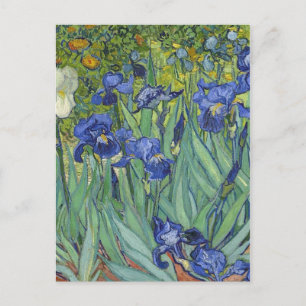 Irises Vincent van Gogh Artwork Feiertagspostkarte