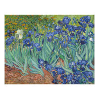 Irises Vincent Van Gogh