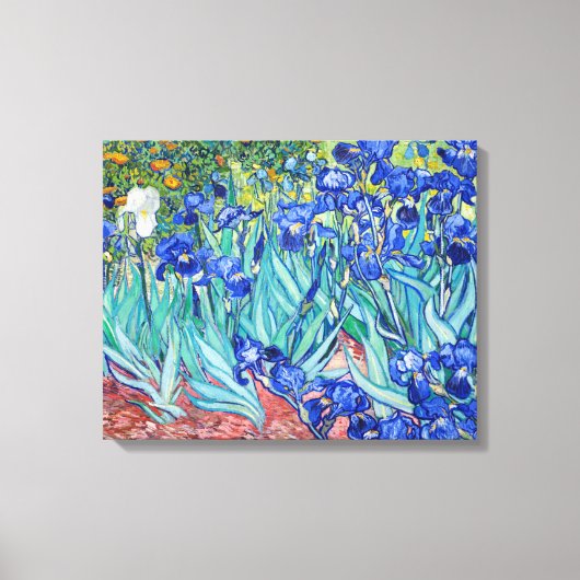 Irises Vincent van Gogh Leinwanddruck (Vorderseite)