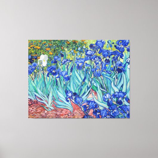 Irises Vincent van Gogh Leinwanddruck (Vorderseite)