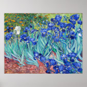 Irises Vincent van Gogh Poster (Vorne)