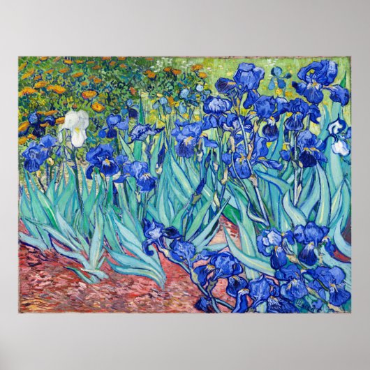 Irises Vincent van Gogh Poster (Vorne)