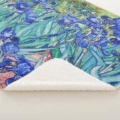 Irises Vincent van Gogh Sherpadecke (3/4)