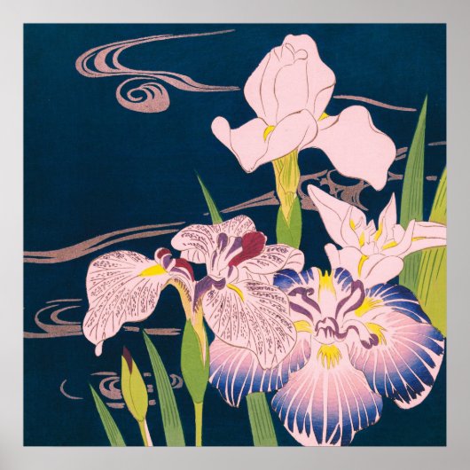 IRISES VON KUGYO TSUKIOKA POSTER (Vorne)